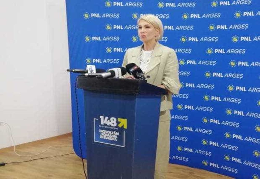 Raluca Turcan vrea ca judecătorii CCR să răspundă „pentru prejudiciul creat statului român”