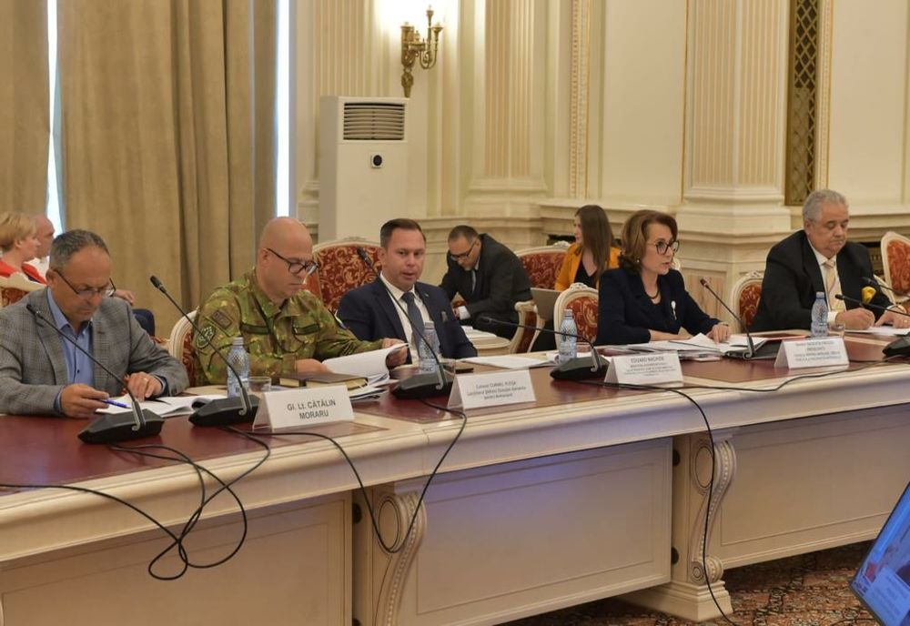 Senatorul Nicoleta Pauliuc: Inițiativă legislativă privind reglementarea contractelor compensatorii în perspectiva achiziţionării de echipamente